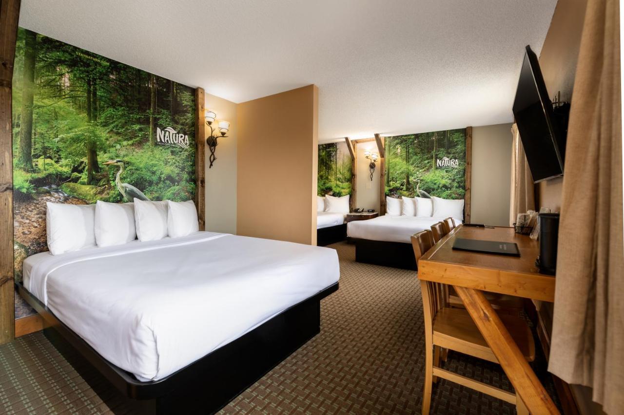 Natura Treescape Resort 威斯康星戴尔 外观 照片